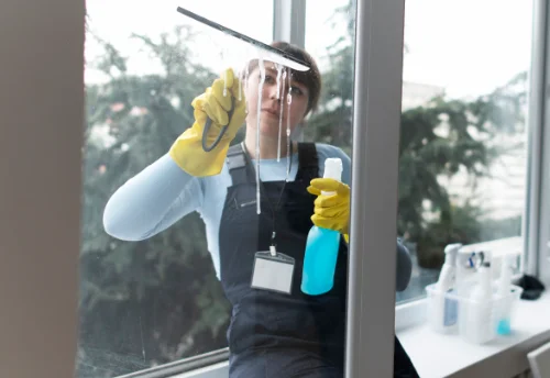 Nettoyage de vitres intérieures et extérieures à Saint-Pantaléon-de-Larche
